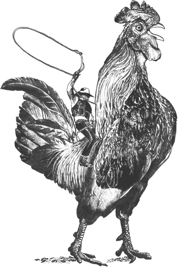 HD_Cowboy_Rooster_Illustration